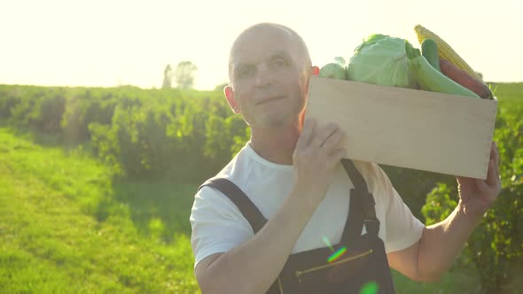 Happy Senior Farmer Walking with a Box of Organic Vegetables and Looking at Camera alt