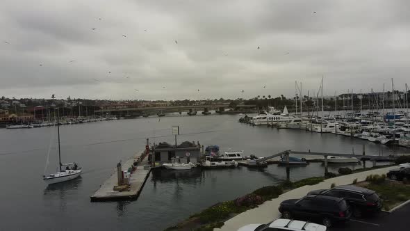 Aerial View San Diego Harbor Sailboat Sea Birds Cloudy Stormy Afternoon alt