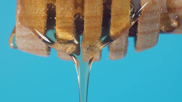 Dripping Honey From a Wooden Spoon Closeup Macro alt