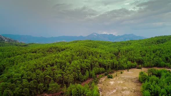 Aerial Forest view in Cloudy Weather alt