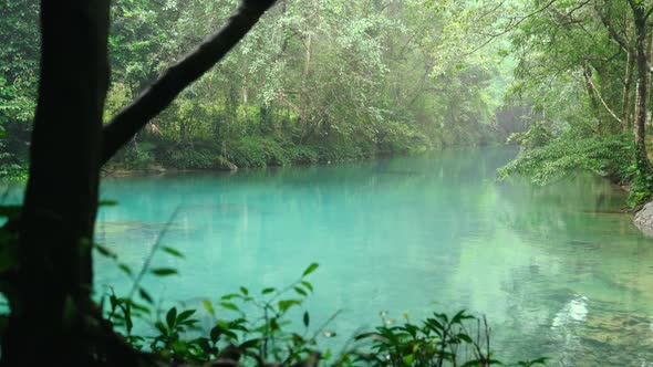 Still Turquoise Water in a Dense Forest alt