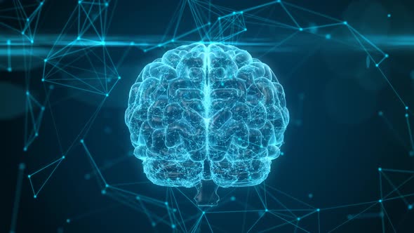 Rotating Human Brain alt