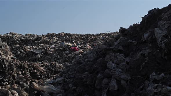 Landfill site with waste alt