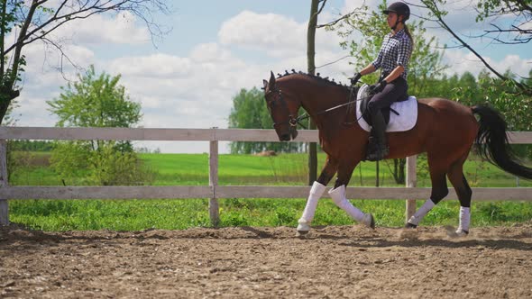 Competitive Woman Riding On A Dark Bay Horse  Horse Running In The Sandy Arena alt