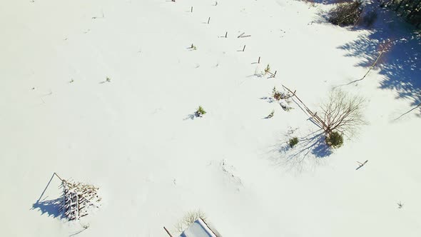 Aerial Overhead View Snow Covered Clearing in the Forest
