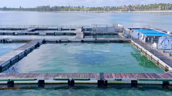 Dolphin island park floating on sea surface, Punta Cana in Dominican Republic. Aerial pov alt