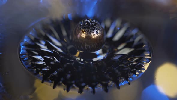 Ferrofluid. Beautiful Colors and Fantastic Shapes. Close-up