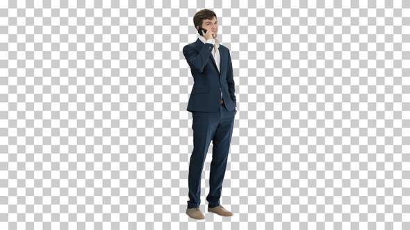 Handsome young businessman talking on the phone, Alpha Channel alt