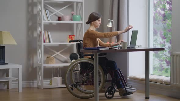 Overworking Disabled Caucasian Woman in Wheelchair Closing Laptop Sighing Looking Out the Window in alt