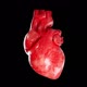 Heart beat loop - VideoHive Item for Sale