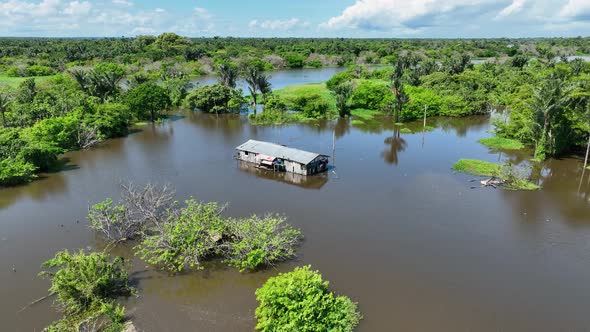 Stunning landscape of Amazon Forest at Amazonas State Brazil. alt
