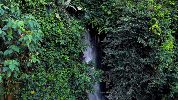 Small Waterfall in Deep Jungles of Bali Indonesia alt