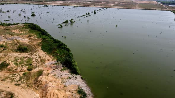 Exploitation of palm tree clear alt