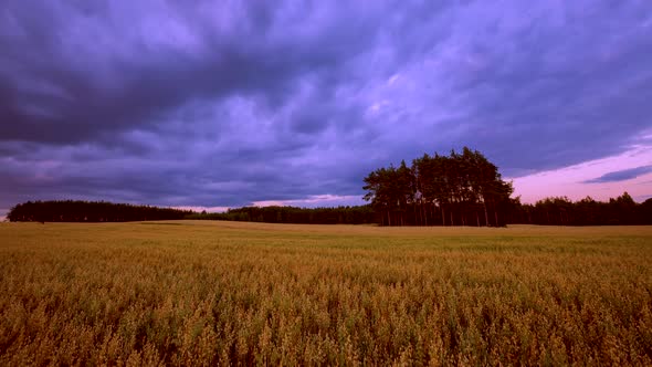 Time Lapse with Cereal Field Under Fast Moving Clouds alt