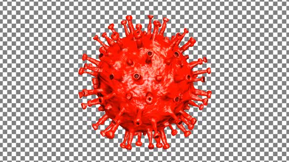 Coronavirus ( Covid - 19) Looped