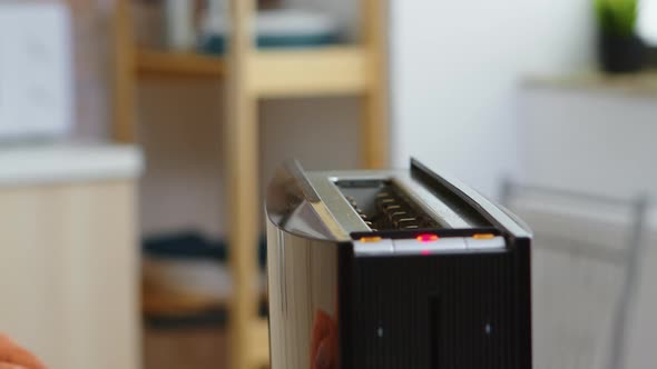 Roasting Bread Popping Out alt