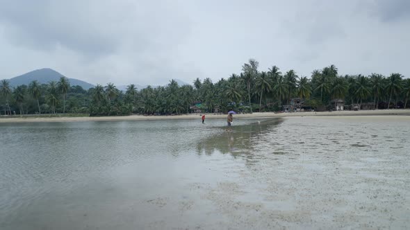 Two Locals Searching For Clams During Low Tide With View Of Vast Coconut Palm Plantation And alt