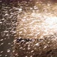 Metal Sparks Fly From The Furnace - VideoHive Item for Sale