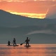 Backside View of Rowers Paddling at Sunset - VideoHive Item for Sale