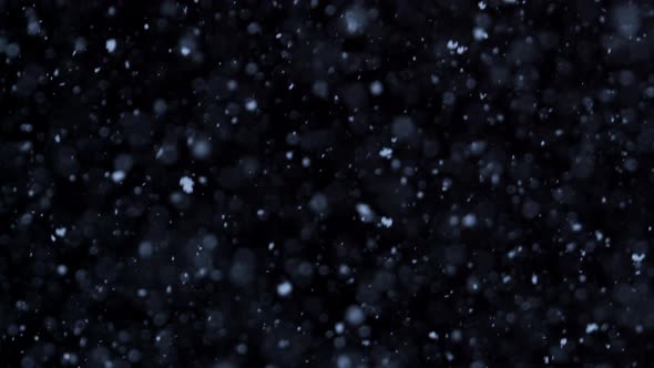 Falling natural snowflakes isolated on a black background, a lot of falling chaotic snow. alt