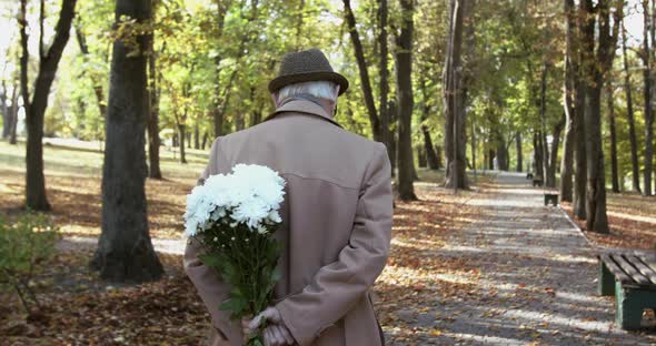 Back View of Elderly Man Walks in Park with a Bouquet of Flowers Behind His Back alt