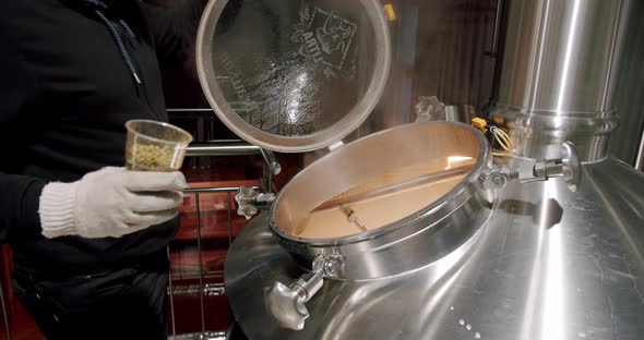 Beer Production Pouring Malt Grains Into The Large Milling Tank In The Brewery alt