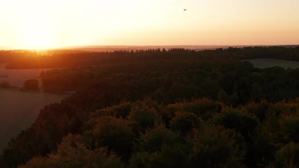 Aerial over a forest at sunrise in the English countryside