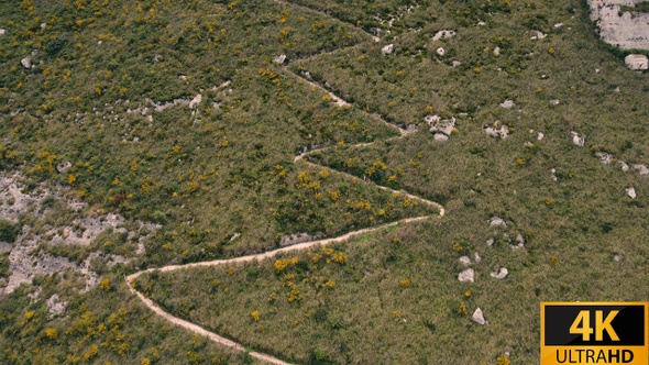Aerial Of Twisting Path