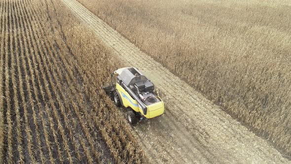 Aerial View of a Harvester Harvesting Corn in the Field