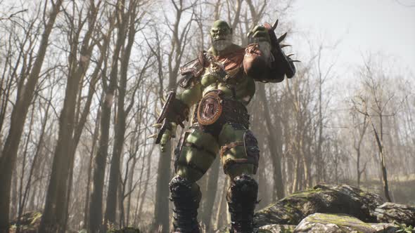 Formidable Orc Warrior