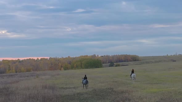 Aerial View of Horseback Riding in a Field at Sunset. alt
