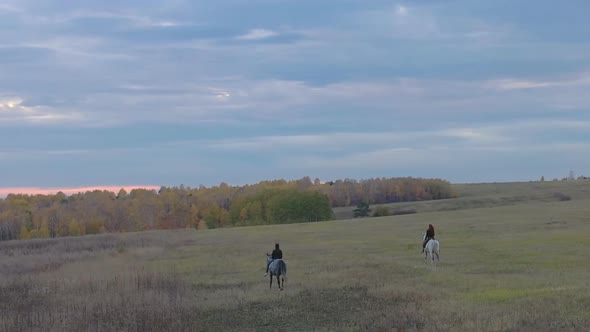 Aerial View of Horseback Riding in a Field at Sunset.
