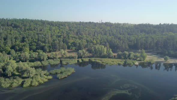 Aerial View on Shore of Calm River, Covered Forest in Sunny Summer Morning
