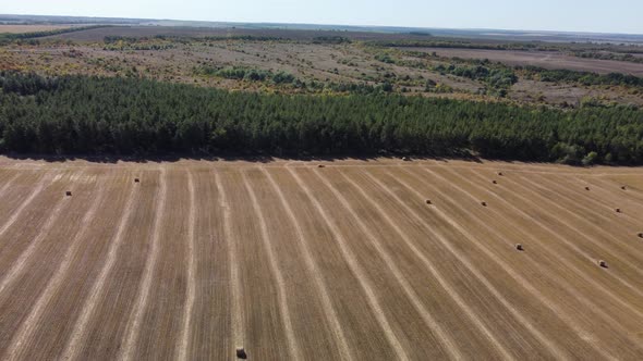 Hay Rolls on the Field Aerial View