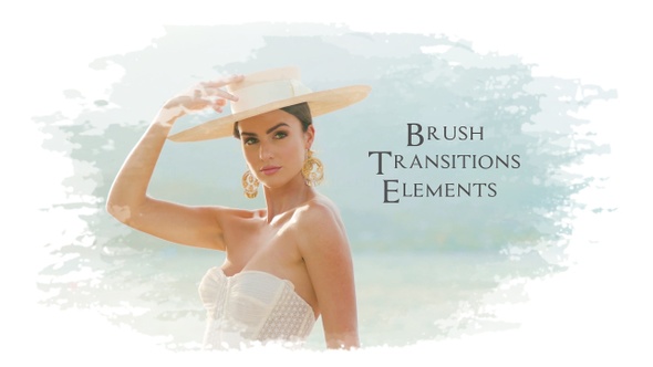 Brush Transitions Elements