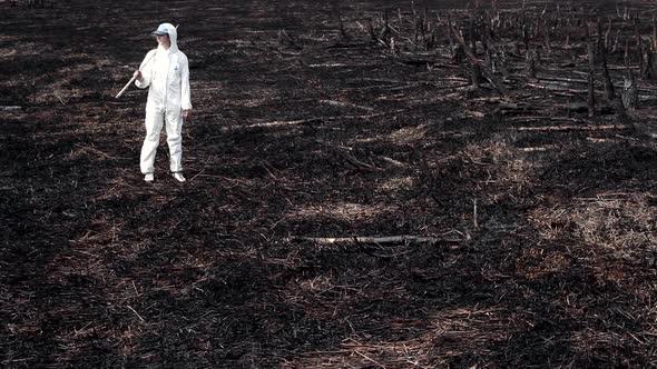 Earth after a fire alt