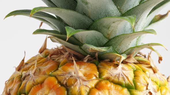 Pineapple Fruit, Closeup alt