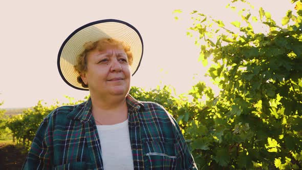 Portrait of a Elderly Female Farmer with Hat Standing in a Vineyard alt