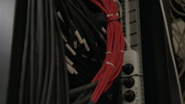 Pack of Internet Cables Placed Behind Modern Internet Network Switch Server