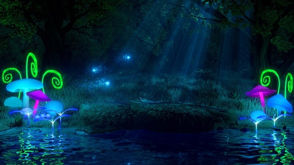 Fireflies in the Mystical Forest