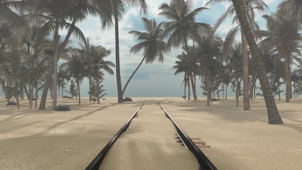 Railroad among palm trees to the beach, weekend trip.