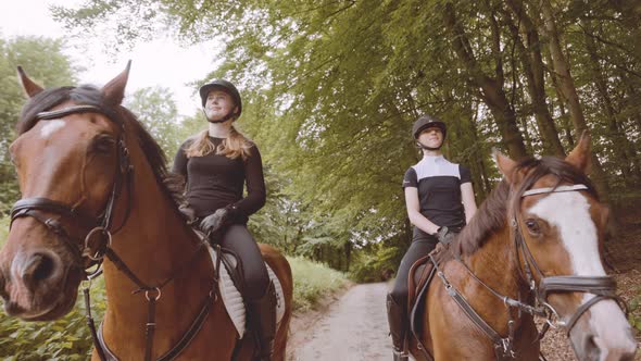 Female Equestrians Mounted on Brown Horse Amid Lush Forest Against Bright Skies alt