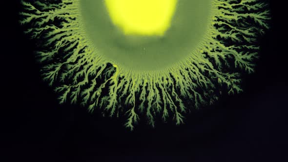 Crystal Germination alt