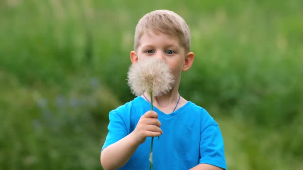 A small boy blows on a large dandelion flower while playing in a clearing on a summer day. 