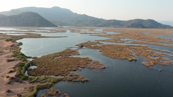 Aerial view of a swamp in Dalyan, Turkey. alt