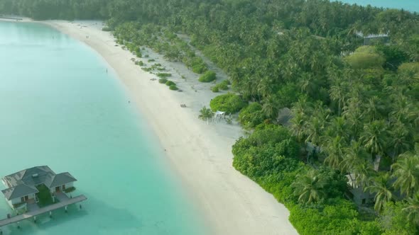 Maldives Tropical Beach with Coconut Palm Trees and Resort Area and White Sand Beach alt