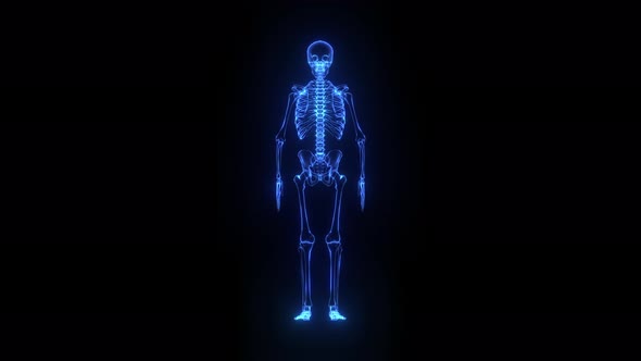 3d Holographic of Human Skeleton