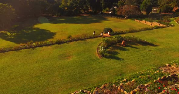 Aerial view of beautiful park alt