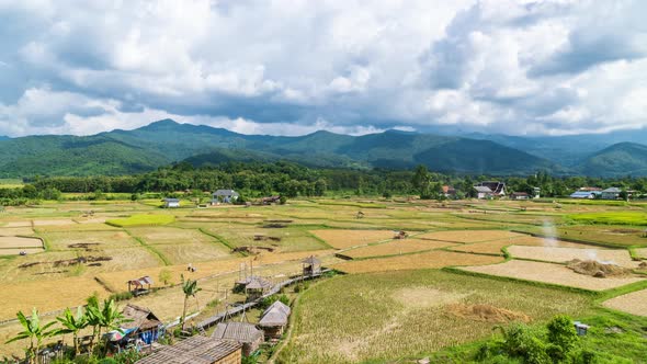 Beautiful rice paddy farming filed and village town at Pua district, Nan, Thailand - time lapse