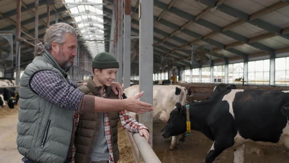 Man and Boy Looking at Cows at Family Dairy Farm alt